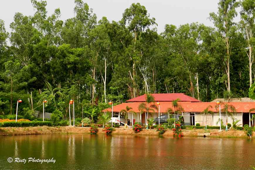 Road Not Taken – The Green Seclusion of Joypur Forest